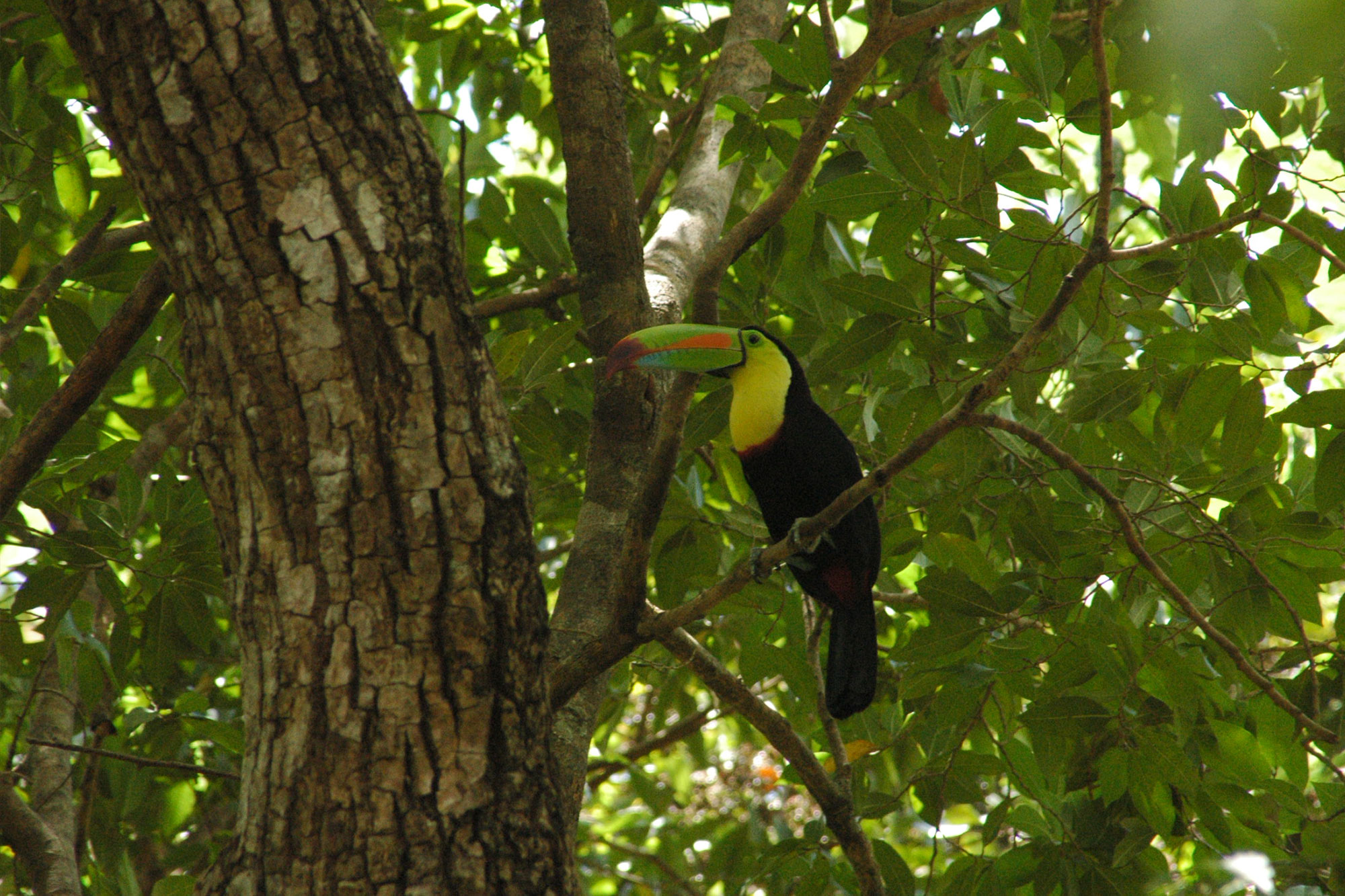 Costa Rica Adventure Vacations