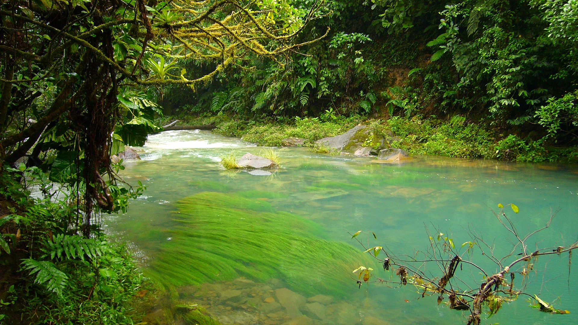 Costa Rica Guided Tours