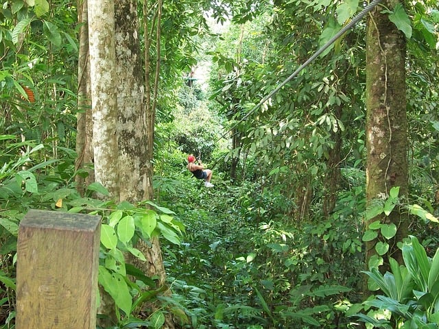 Canopy Tour Costa Rica