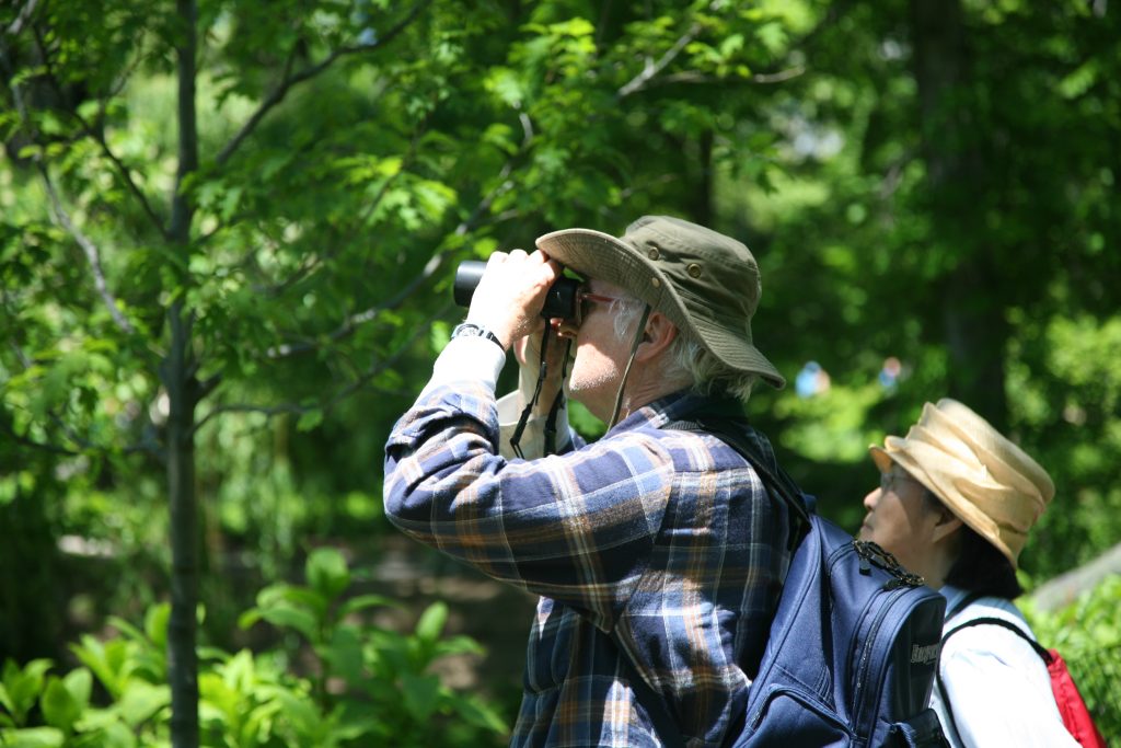 Birdwatching