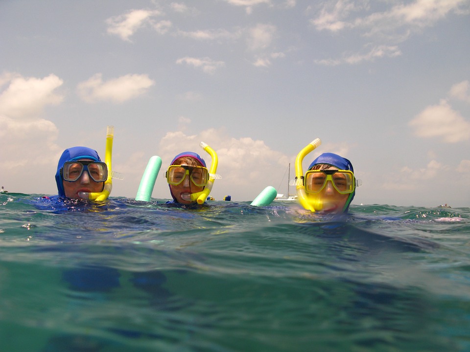 Snorkeling activities