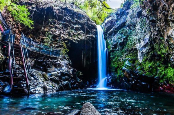 oropendola waterfall tour