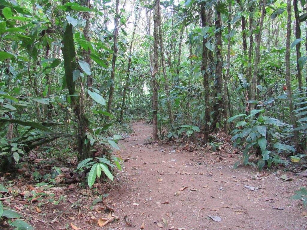 Finca Verde Reserve