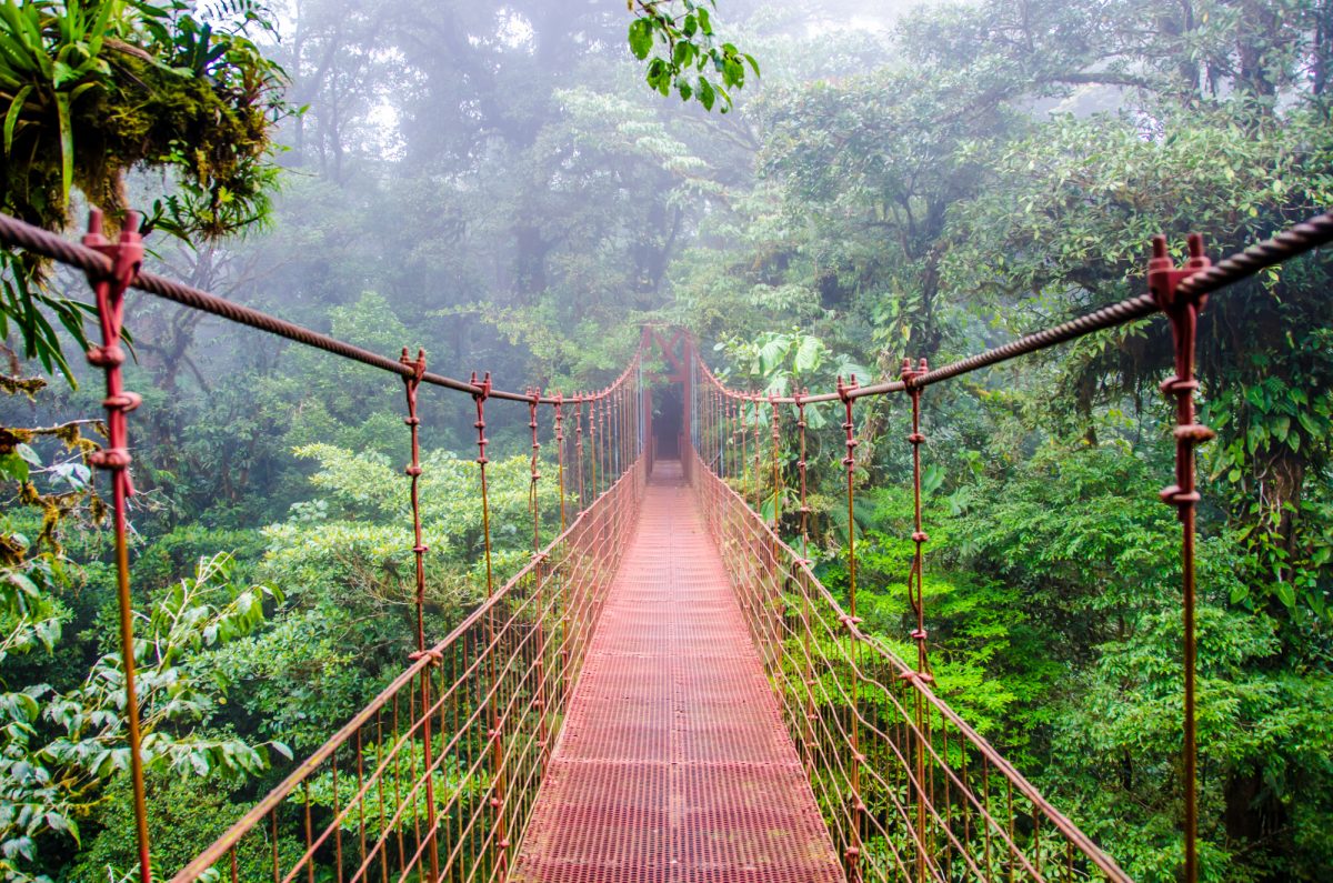 Costa Rica private tours to Monteverde Cloud Forest - 3 Monkies Tours